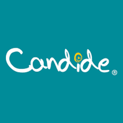 Funko, Bonecas ,Carrinhos , Pelúcias, Animais Interativos, Blocos de Montar , Piões , Instrumentos Musicais com até 60%OFF na Candide