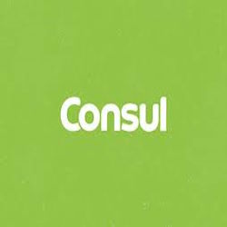 Ofertas de Aniversário Consul . Eletrodomésticos com até 30%OFF